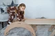 Детский набор Монтессори Треугольник Пиклер + Арка Пиклер + Горка. Natural wood - изображение 5
