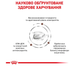 Сухой корм для котов Royal Canin Gastro Intestinal 400 г 39050041 - изображение 3