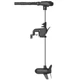 Лодочный электромотор Haswing Protruar 3.0 110 lbs (50 кг) 12V - изображение 1