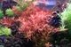 Калий в таблетках Aquario Neo Tabs Plant K - изображение 4