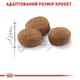Сухий корм для котів Royal Canin Regular Sterilised 7+ 1,5 кг - изображение 5