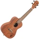 Укулеле Ortega Bonfire RU5MM Concert Ukulele Sapele Natural (R123836) - изображение 1