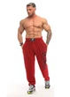 Штаны спортивные легкие Big Sam 1308 красные, размер 3XL - изображение 2