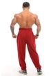 Штаны спортивные легкие Big Sam 1308 красные, размер 3XL - изображение 3