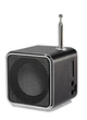 Портативний MP3-Плеєр з fm радіо TDV26 - зображення 1