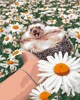 Картина по номерам Origami Ёжик в Ромашках 40x50 см (LW3086) - изображение 1