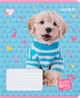 Набір зошитів Kite Studio Pets 18 аркушів у лінію 20 штук (SP24-237) - зображення 12