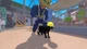 Ключ активации Little Kitty, Big City для Xbox One/Series S/X - изображение 7