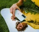 Смартфон OnePlus Nord N20 SE 4/64GB Dual Sim Blue EU_ - зображення 7