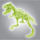 Набір для наукових експериментів Clementoni T-Rex Fossils Fluorescent (8005125508587) - зображення 3