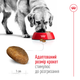 Сухий корм для собак великих порід старше 5 років Royal Canin Maxi Adult, 15 кг - зображення 5