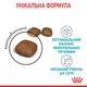 Сухой корм для кошек Royal Canin Urinary Care профилактика мочекаменной болезни, 10 кг - изображение 5