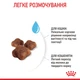 Royal Canin Mother and Babycat для котят от 1 до 4 месяцев, 10 кг - изображение 5