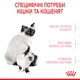 Royal Canin Mother and Babycat для котят от 1 до 4 месяцев, 10 кг - изображение 6