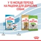 Сухой корм для щенков миниатюрных пород Royal Canin X-Small Puppy, 1.5 кг - изображение 6