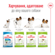 Сухой корм для собак Royal Canin X-Small Adult для миниатюрных пород, 3 кг - изображение 4