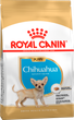 Сухой корм для щенков породы чихуахуа Royal Canin Chihuahua Puppy , 500 г - изображение 1