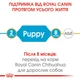 Сухой корм для щенков породы чихуахуа Royal Canin Chihuahua Puppy , 500 г - изображение 5