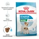 Сухой корм для собак Royal Canin Mini Starter мелких пород в период беременности и лактации, 1 кг - изображение 3