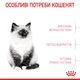 Сухой корм Royal Canin Kitten для котят до 12 месяцев, 400 г - изображение 6