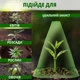 Конусні міні-теплиці, парники для саду та городу (10 шт) - зображення 4