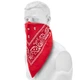 Бандана бавовняна Sturm Mil-Tec Western Bandana Червоний (12620010) - изображение 1