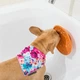 Лізальний килимок антистрес для собак LickiMat Splash Orange, для купання та догляду, на присосках Оранжевий (LM5101OR-R) - зображення 6