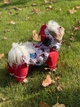 Комбинезон для собак Fifa Мультяшка на силиконе, красный (девочка) XS - изображение 1