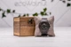 Подставка держатель для наручных часов с логотипом EcoWalnut Коробочка для 1 часов с деревянной крышкой - изображение 8