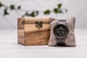 Органайзер из дерева ореха для наручных часов с персонализацией EcoWalnut Коробочка для 1 часов со стеклянной крышкой - изображение 6