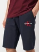 Шорты хлопковые мужские Calvin Klein Jeans 11346.1 L (48) Темно-синие (smt2000000021003) - изображение 4