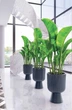 Горшок для цветов Form-Plastic Keli Мика Петит 1,7 л 14 см, Цвет Антрацит - изображение 2