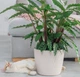 Горшок для цветов Form-Plastic Мика круглый 6 л 23 х 21 см, Цвет Белый - изображение 1