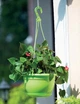Горшок для цветов Form-Plastic Мальта подвесной круглый 2,7 л 21 x 13 см, Цвет Терракот - изображение 3