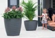 Горщик для квітів Form-Plastic Сахара Еліпс овальний 56 л 40 х 60 см, Колір Антрацит - зображення 2