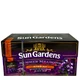 Чай Sun Gardens чорний Summer Meadows 25 пакетиків (58387) - изображение 3