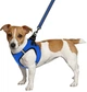 Шлея для собак Barksi Mesh Vest XS обхват шеи - 29 см, обхват груди - 34 см Синяя (83302) (2007033026531) - изображение 4