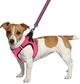 Шлея для собак Barksi Mesh Vest XS обхват шеи - 29 см, обхват груди - 34 см Розовая (83306) (2007033026524) - изображение 4