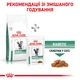 Корм для дорослих котів ROYAL CANIN DIABETIC CAT 400 г - зображення 3