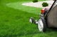 Газонная трава GL Seeds Универсальный газон, 3 кг. (305-KOR-3) - изображение 2