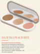 Палетка для лица Корректор Хайлайтер Румяна Peach Bite Farmasi 13 г - изображение 1