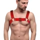 Мужская портупея на грудь Feral Feelings - Bulldog Harness Red Trasparent - изображение 1