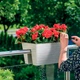 Горшок для поручней Form-Plastic Sahara-27 8,35 л белый (4450-011) - изображение 2