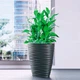 Горшок для цветов Form-Plastic Sahara Эллипс 60x60 антрацит (3116-014) - изображение 3