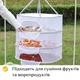 Універсальна сітка для сушки фруктів та риби, сушка для фруктів, The Chestnut - зображення 2