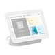 Хаб управления - центральная консоль Google Nest Hub 2nd Generation (GA01331-EU) - изображение 1