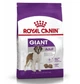 Сухой корм Royal Canin Giant Adult для взрослых собак гигантских пород, 4 кг - изображение 1
