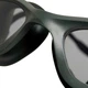 Очки для плавания Arena 365 GOGGLES (005290-203) - изображение 4