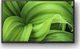 Телевізор Sony KD-32W800P - изображение 7