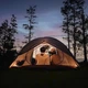 Белая трехместная надувная палатка Naturehike CNK2300ZP024 - изображение 7